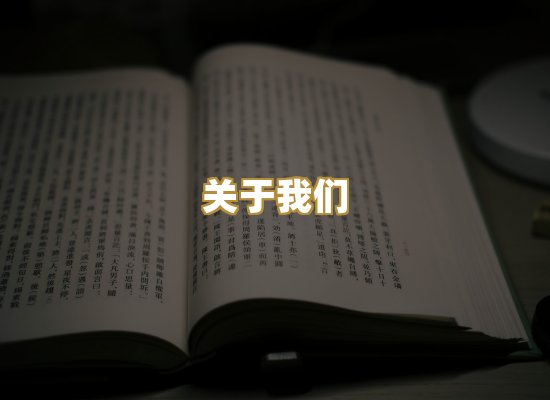 关于我们