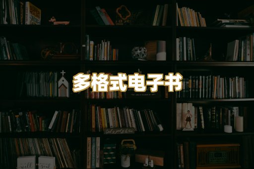 多格式电子书